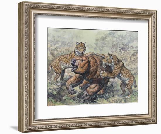 Smilodon Dirk-Toothed Cats Attacking a Glossotherium-null-Framed Art Print