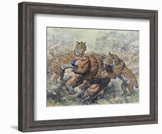 Smilodon Dirk-Toothed Cats Attacking a Glossotherium-null-Framed Art Print