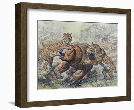 Smilodon Dirk-Toothed Cats Attacking a Glossotherium-null-Framed Art Print