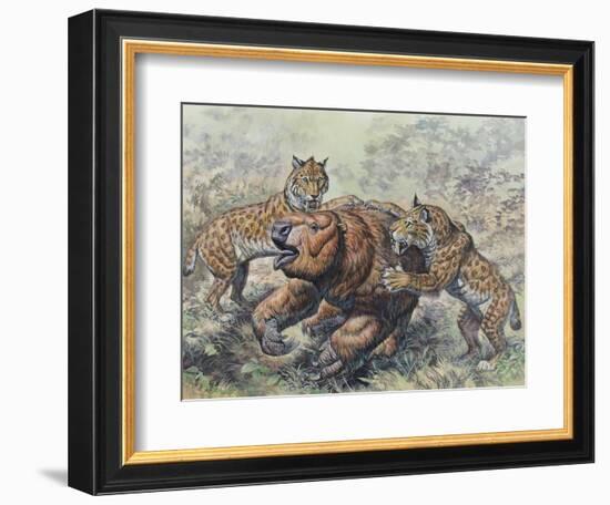 Smilodon Dirk-Toothed Cats Attacking a Glossotherium-null-Framed Art Print