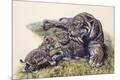 Premium Giclee Print