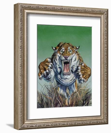 Smilodon Springing Forward at Viewer, Pleistocene Epoch-null-Framed Art Print