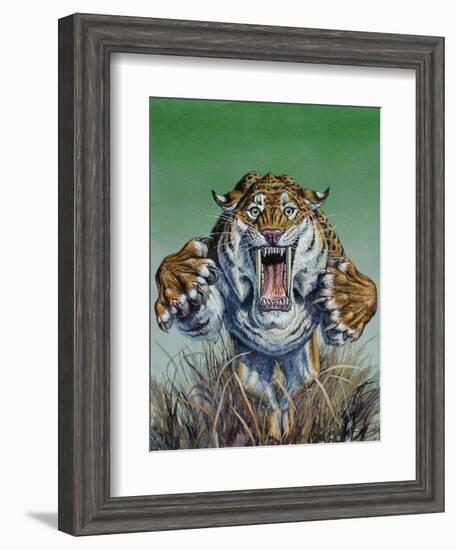 Smilodon Springing Forward at Viewer, Pleistocene Epoch-null-Framed Art Print