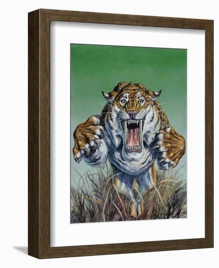 Smilodon Springing Forward at Viewer, Pleistocene Epoch-null-Framed Art Print