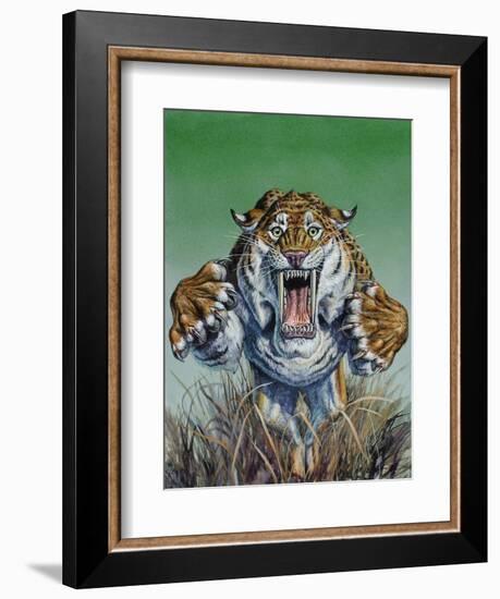 Smilodon Springing Forward at Viewer, Pleistocene Epoch-null-Framed Art Print