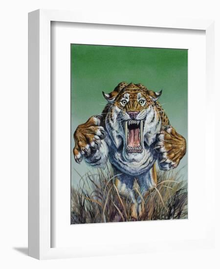 Smilodon Springing Forward at Viewer, Pleistocene Epoch-null-Framed Art Print