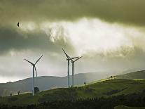 Wind Turbines and Soaring Bird of Prey, Ruahine Ranges, Manawatu, North Island, New Zealand-Smith Don-Photographic Print
