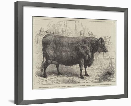 Smithfield Club Cattle Show-null-Framed Giclee Print