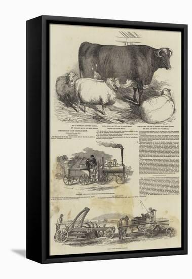 Smithfield Club Cattle Show-Harrison William Weir-Framed Premier Image Canvas