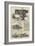 Smithfield Club Cattle Show-Harrison William Weir-Framed Giclee Print