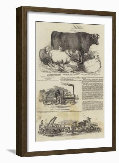 Smithfield Club Cattle Show-Harrison William Weir-Framed Giclee Print