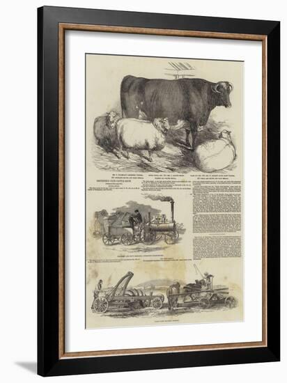 Smithfield Club Cattle Show-Harrison William Weir-Framed Giclee Print