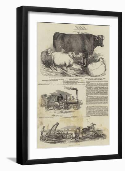 Smithfield Club Cattle Show-Harrison William Weir-Framed Giclee Print