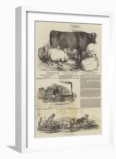 Smithfield Club Cattle Show-Harrison William Weir-Framed Giclee Print