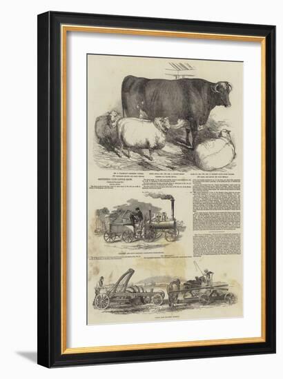 Smithfield Club Cattle Show-Harrison William Weir-Framed Giclee Print