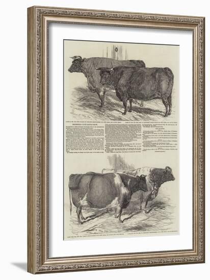 Smithfield Club Cattle Show-Harrison William Weir-Framed Giclee Print