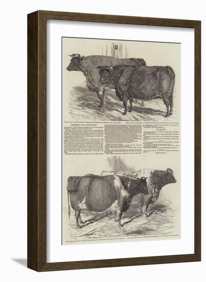 Smithfield Club Cattle Show-Harrison William Weir-Framed Giclee Print