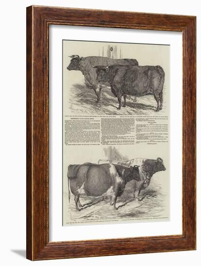 Smithfield Club Cattle Show-Harrison William Weir-Framed Giclee Print