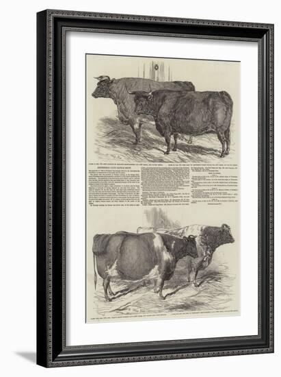 Smithfield Club Cattle Show-Harrison William Weir-Framed Giclee Print