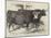 Smithfield Club Cattle-Show-Harrison William Weir-Mounted Giclee Print