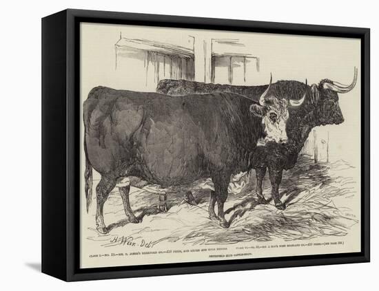 Smithfield Club Cattle-Show-Harrison William Weir-Framed Premier Image Canvas