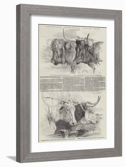 Smithfield Club Prize Cattle Show-Harrison William Weir-Framed Giclee Print