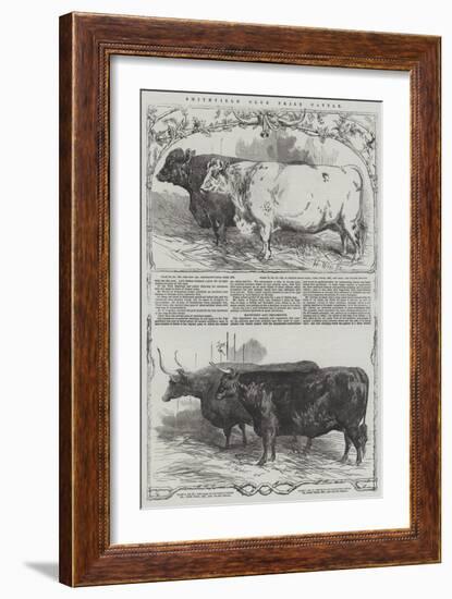 Smithfield Club Prize Cattle-Harrison William Weir-Framed Giclee Print