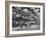 Smithfields Market Almost Empty Because of the Postwar Shortage on Meat-Cornell Capa-Framed Photographic Print