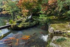Tenryuji Temple Zen Garden with Koi Carps, Kyoto, Japan-smithore-Framed Photographic Print