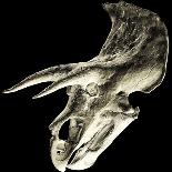 Triceratops Dinosaur Skull-Smithsonian Institute-Mounted Premium Photographic Print