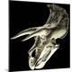 Premium Photographic Print