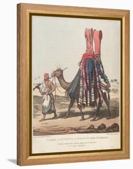 Smithsonian Libraries: Camel Conveying a Bride to her Husband-null-Framed Stretched Canvas