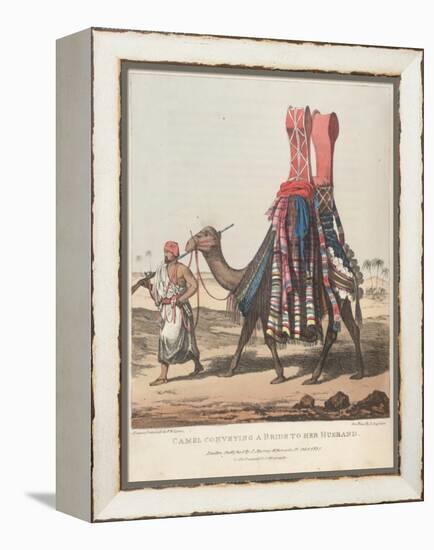 Smithsonian Libraries: Camel Conveying a Bride to her Husband-null-Framed Stretched Canvas