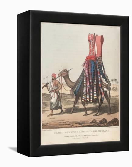 Smithsonian Libraries: Camel Conveying a Bride to her Husband-null-Framed Stretched Canvas