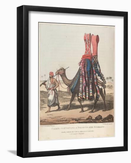 Smithsonian Libraries: Camel Conveying a Bride to her Husband-null-Framed Art Print