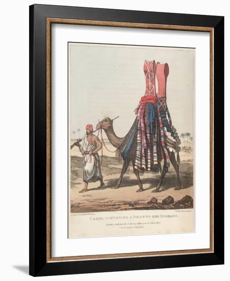 Smithsonian Libraries: Camel Conveying a Bride to her Husband-null-Framed Art Print