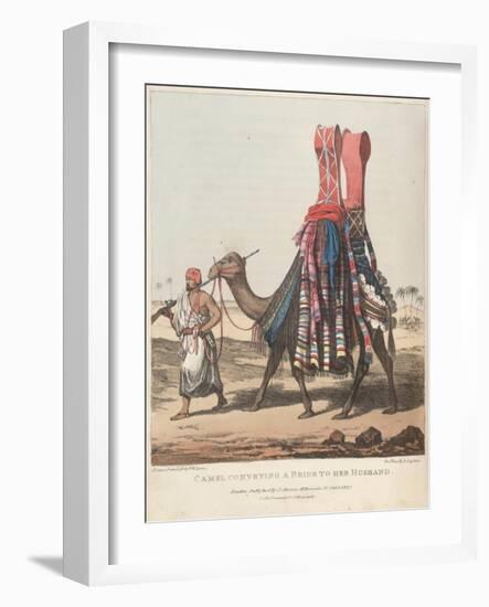 Smithsonian Libraries: Camel Conveying a Bride to her Husband-null-Framed Art Print