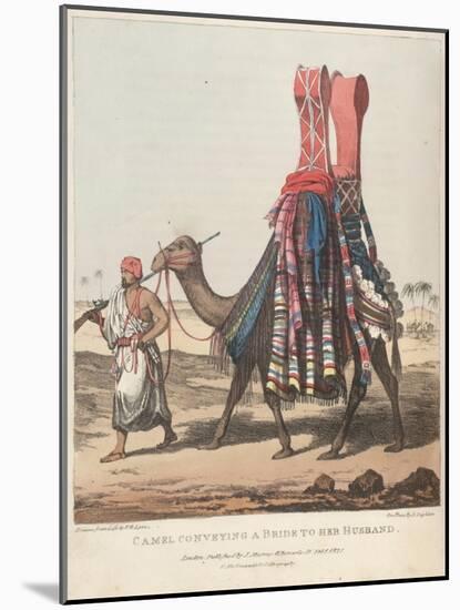 Smithsonian Libraries: Camel Conveying a Bride to her Husband-null-Mounted Art Print