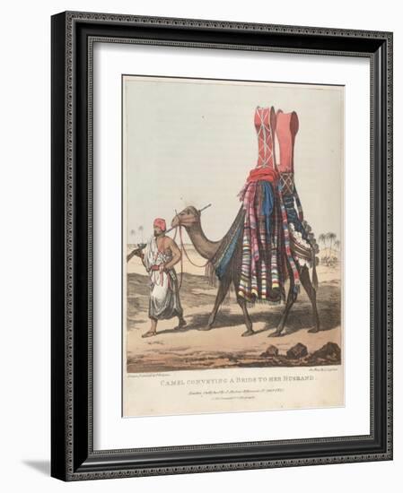 Smithsonian Libraries: Camel Conveying a Bride to her Husband-null-Framed Art Print