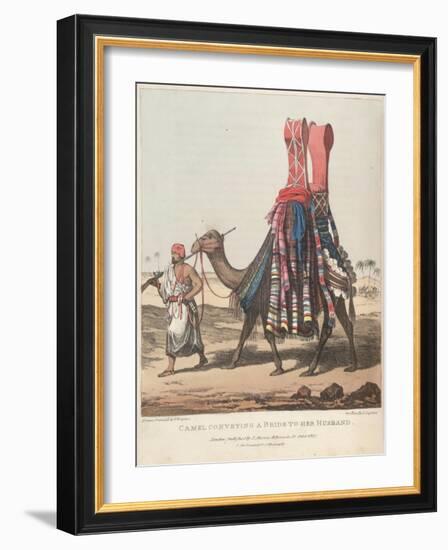 Smithsonian Libraries: Camel Conveying a Bride to her Husband-null-Framed Art Print