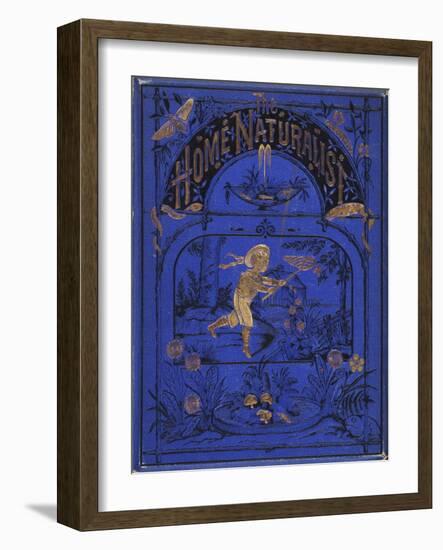 Smithsonian Libraries: Front cover for The Home Naturalist by Harland Coultas-null-Framed Art Print