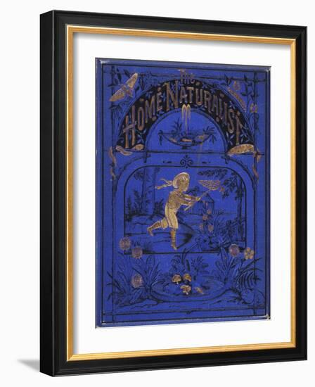 Smithsonian Libraries: Front cover for The Home Naturalist by Harland Coultas-null-Framed Art Print