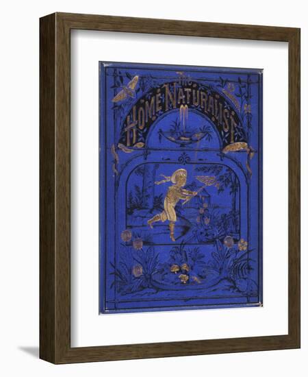 Smithsonian Libraries: Front cover for The Home Naturalist by Harland Coultas-null-Framed Art Print