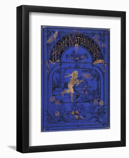 Smithsonian Libraries: Front cover for The Home Naturalist by Harland Coultas-null-Framed Art Print