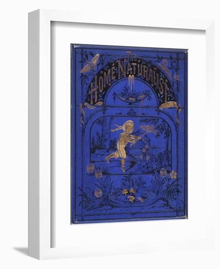 Smithsonian Libraries: Front cover for The Home Naturalist by Harland Coultas-null-Framed Art Print