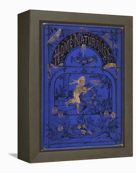 Smithsonian Libraries: Front cover for The Home Naturalist by Harland Coultas-null-Framed Stretched Canvas