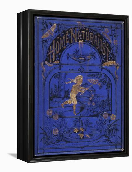 Smithsonian Libraries: Front cover for The Home Naturalist by Harland Coultas-null-Framed Stretched Canvas