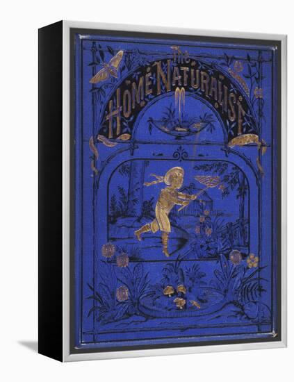 Smithsonian Libraries: Front cover for The Home Naturalist by Harland Coultas-null-Framed Stretched Canvas