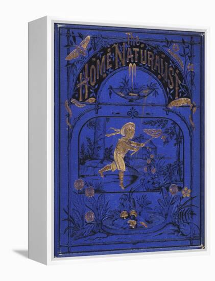 Smithsonian Libraries: Front cover for The Home Naturalist by Harland Coultas-null-Framed Stretched Canvas