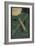 Smithsonian Libraries: Jules Verne Cover-null-Framed Premium Giclee Print